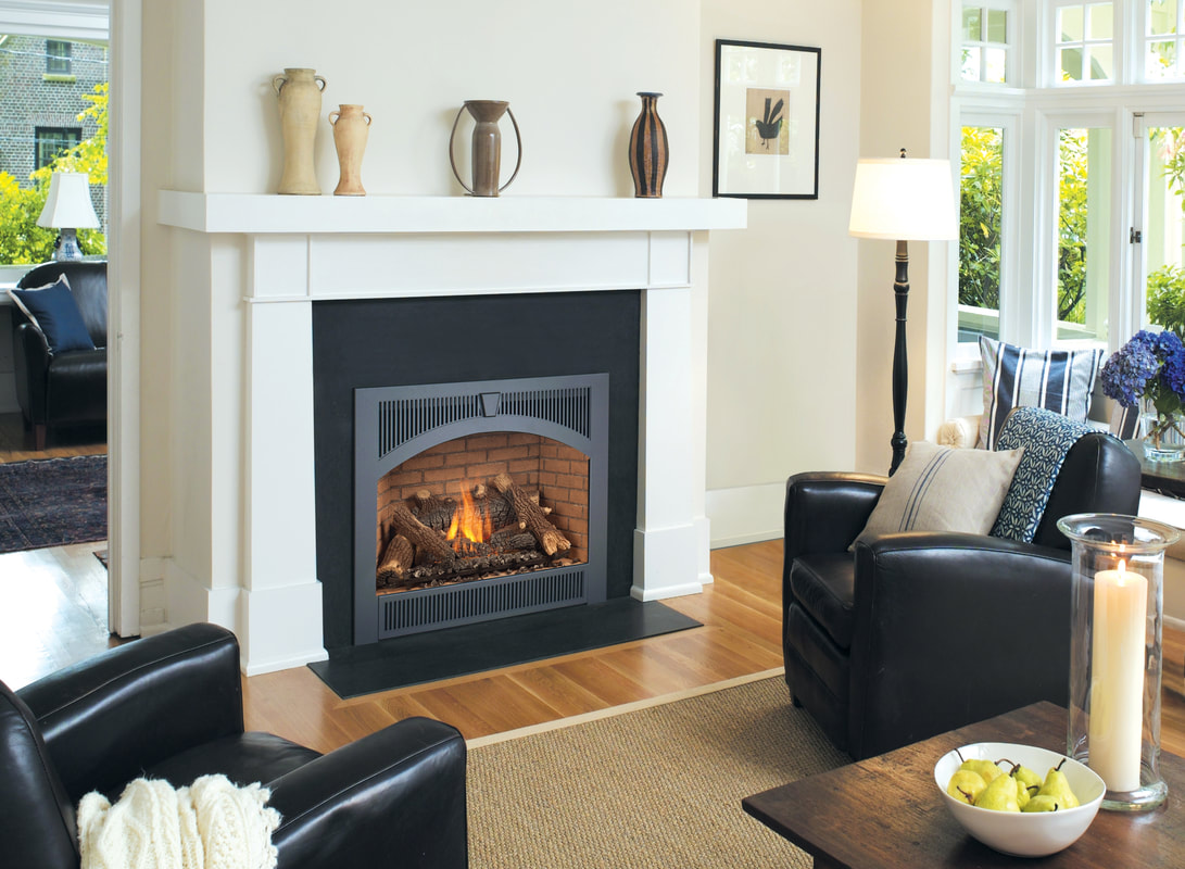 Perkins GFC Cleaner - The Fireplace Professionals